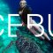 Top 5 Places You Have To See On Cebu Island | Philippines | Travel Guide