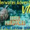 Underwater Adventure Vlog | Anda, Bohol Philippines