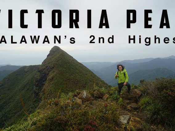 Mt. Victoria (Hiking in Palawan)