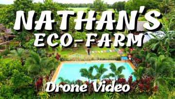 NATHANS ECO FARM DRONE VIDEO | HDA. CATALINA, BRGY.  PUNTA SALONG, MANAPLA, NEGROS OCC.