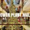 [4K] Power Plant Mall Walking Tour 2021- Best Christmas Decorations Mall in the Philippines?