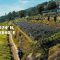 This Place Is Actually Colder Than Baguio | Beyond Baguio Drone Shots | 너와 너의 – Lee Sang Soon