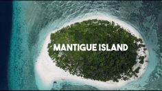 Mantigue Island 2022