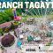 SKY RANCH TAGAYTAY, CAVITE FROM DRONE (Aerial 4K HD) | One Man Wander