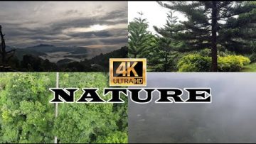 Nature | Philippines | 4K Ultra HD | Rolan V
