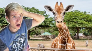 Exploring Calauit Safari in The Philippines